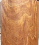 Elm Wood Pattern 2